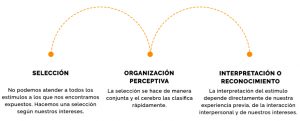 psicología y algoritmo de BeVrand