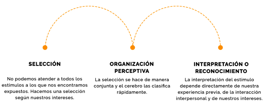 psicología y algoritmo de BeVrand neurociencia